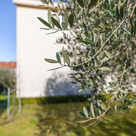 Apartment Cube Njivice